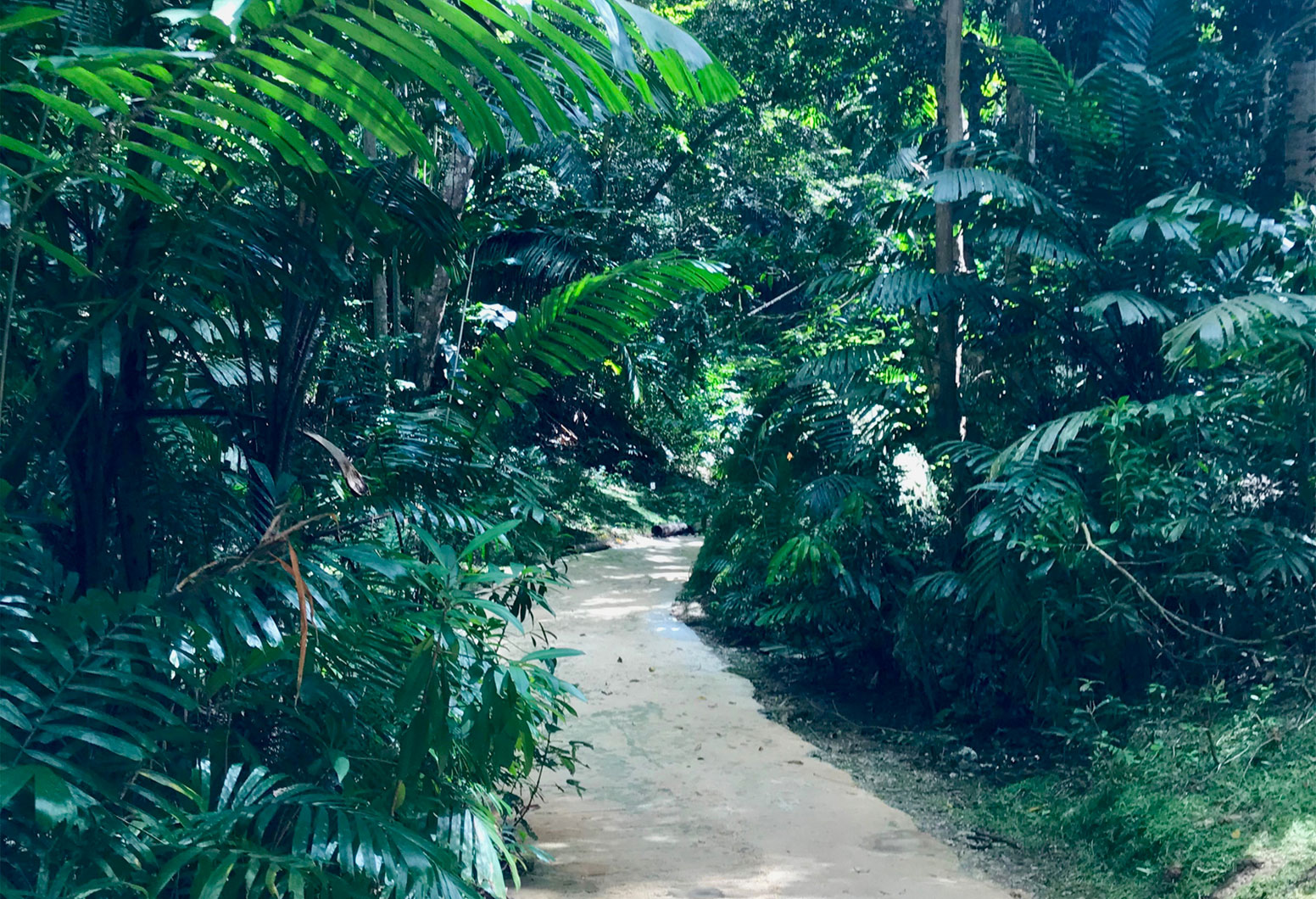 Casablanca Barbados Luxury Villa Rental